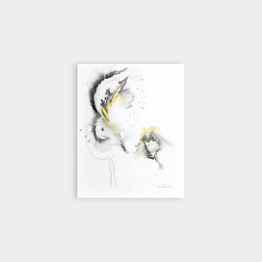 Fragments