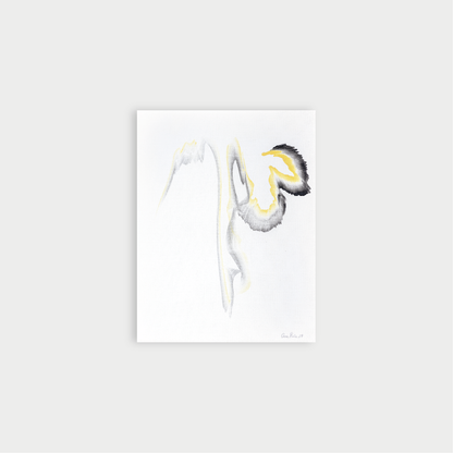 Traces
