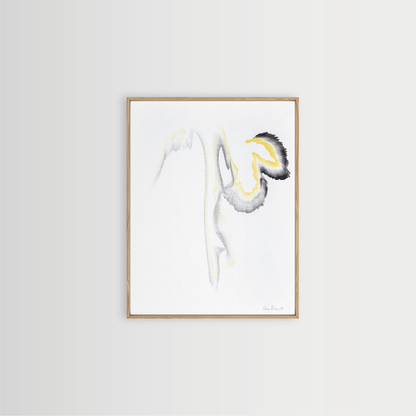 Traces